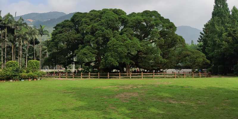 福州華光天銳全體員工于福州國(guó)家森林公園開展團(tuán)建活動(dòng)